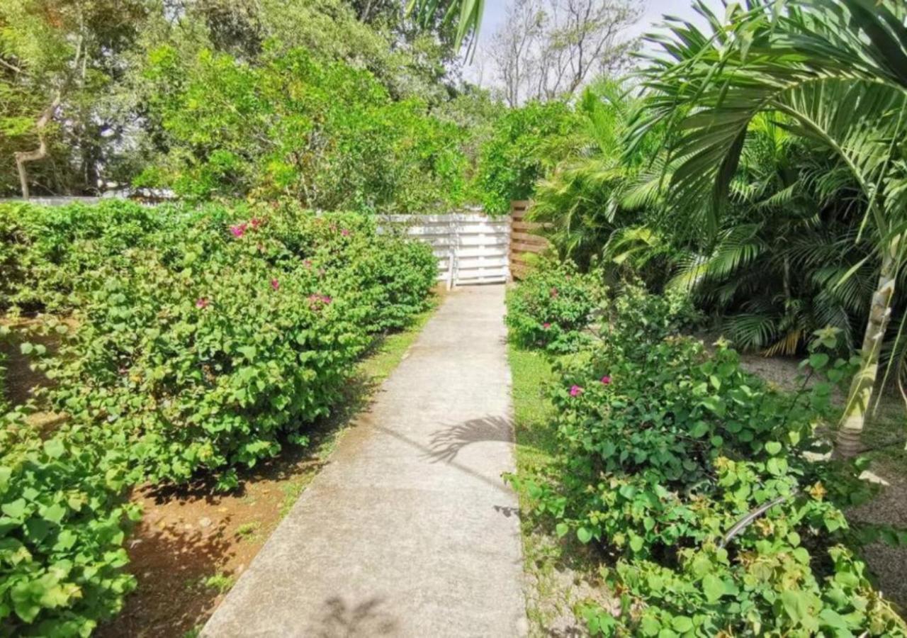 Villa Cocotier A 50 Metres De La Plage Le Diamant Luaran gambar